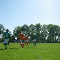 GSV 1 - EGVV 1